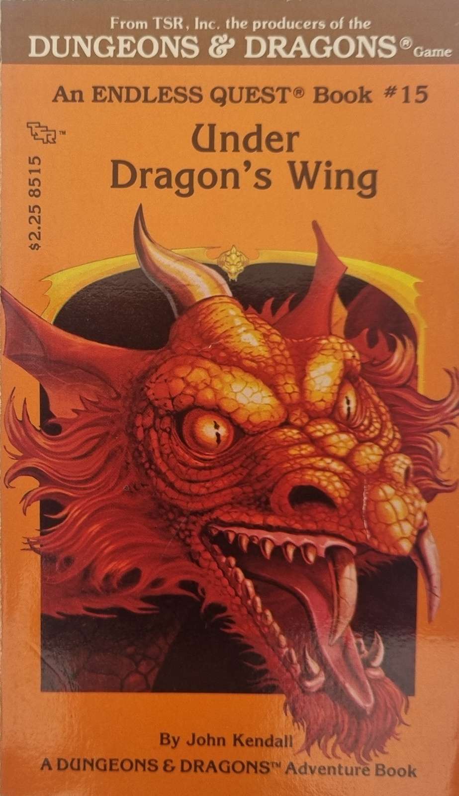 D&D Endless Quest Book - Under Dragon's Wing #15
