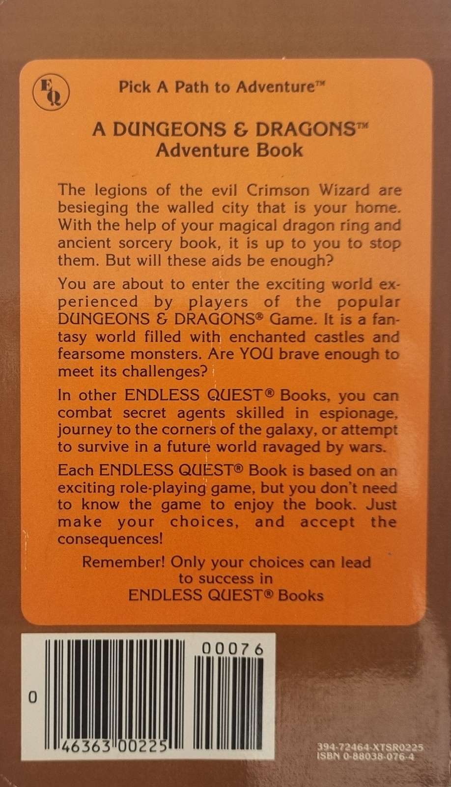 D&D Endless Quest Book - Under Dragon's Wing #15