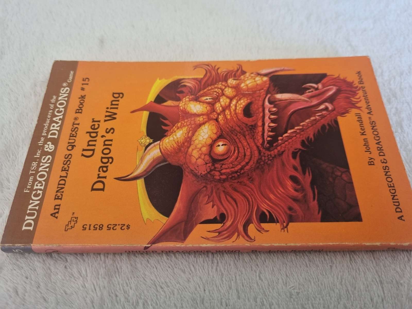 D&D Endless Quest Book - Under Dragon's Wing #15