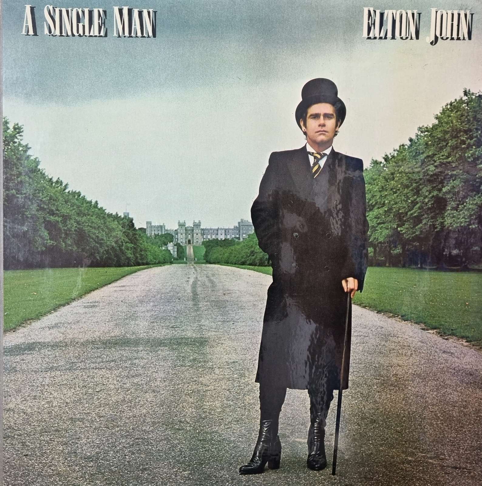 Elton John - A Single Man (LP)