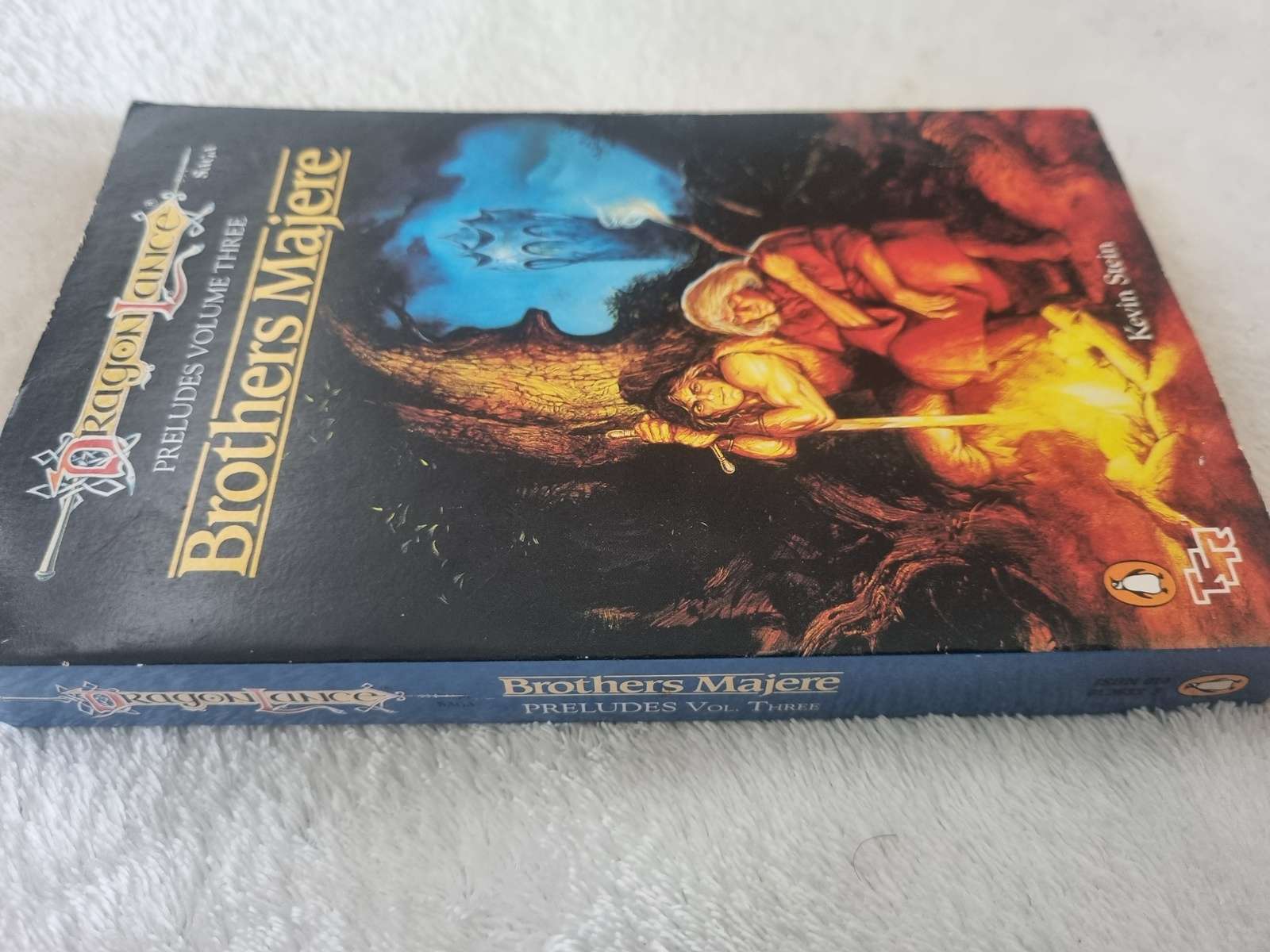 Dragonlance Saga: Brothers Majere - Kevin Stein