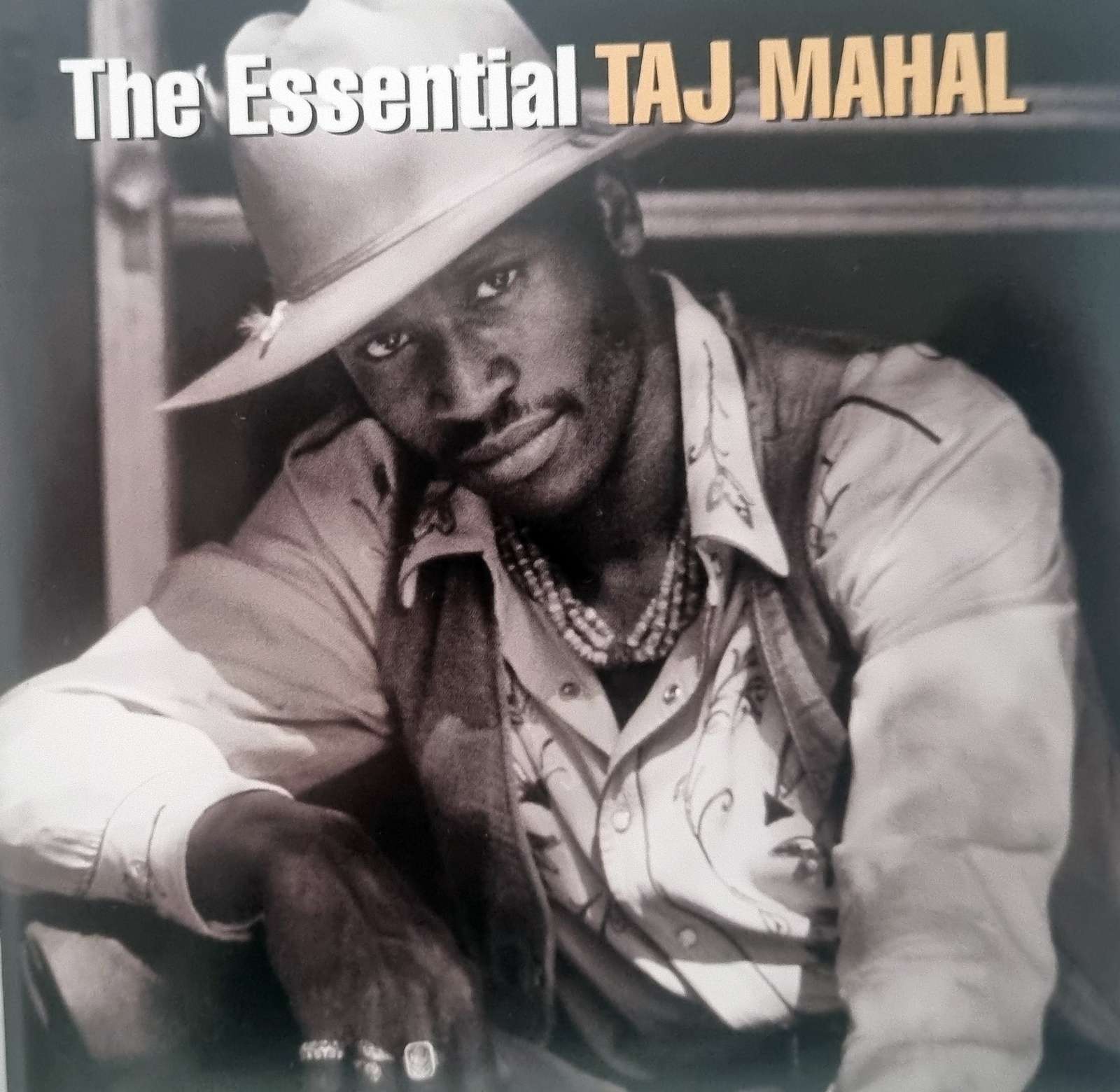 Taj Mahal - The Essential Taj Mahal CD