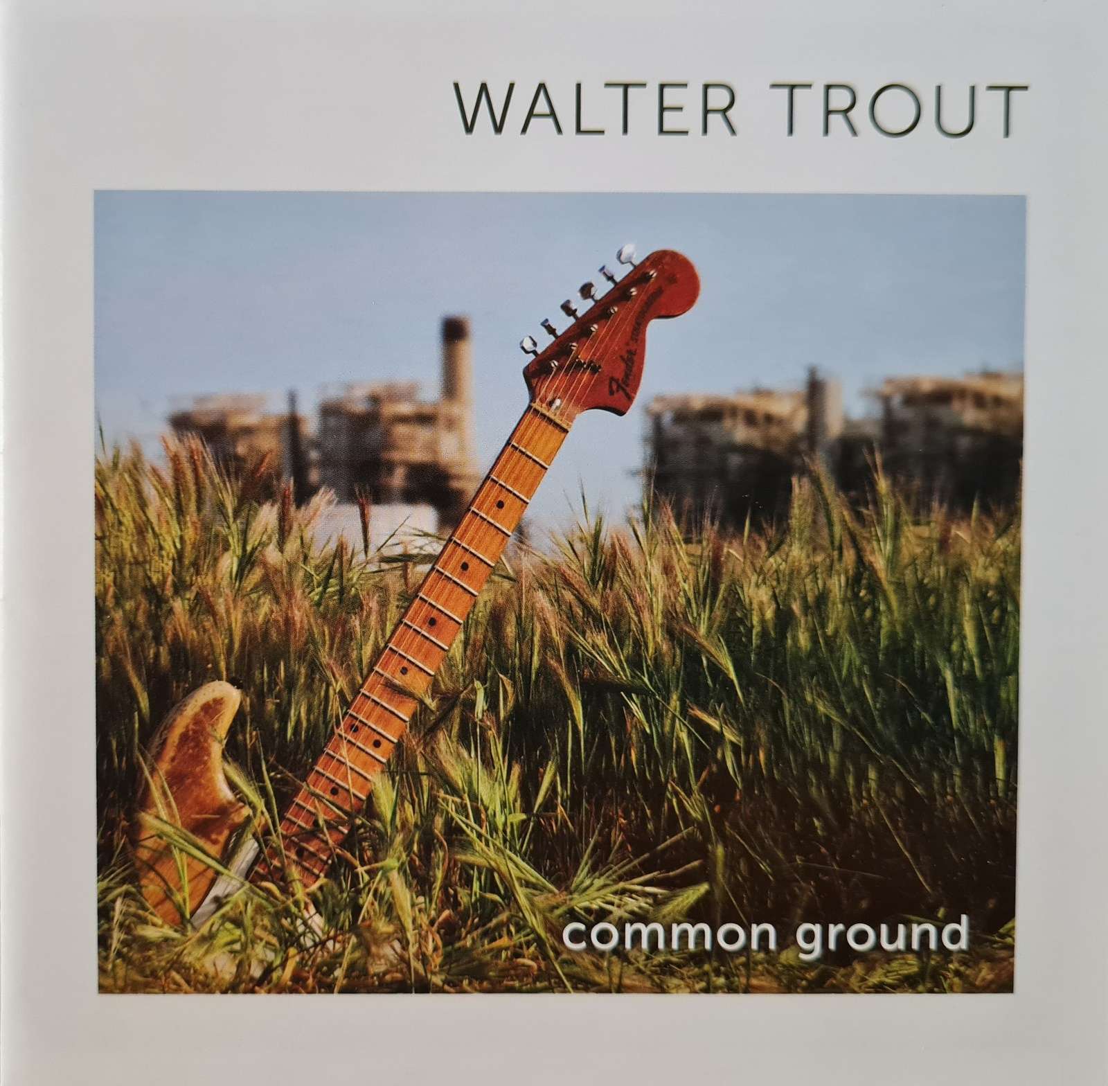 Walter Trout - Common Ground CD