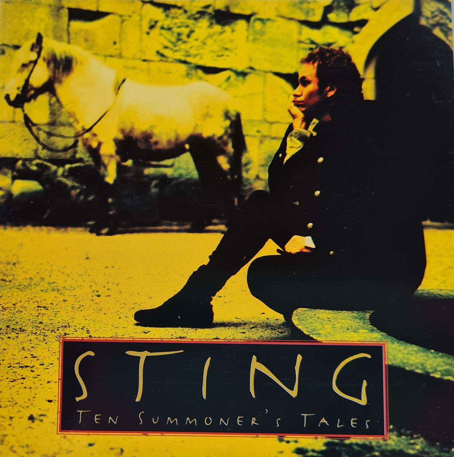 Sting - Ten Summoner's Tales CD