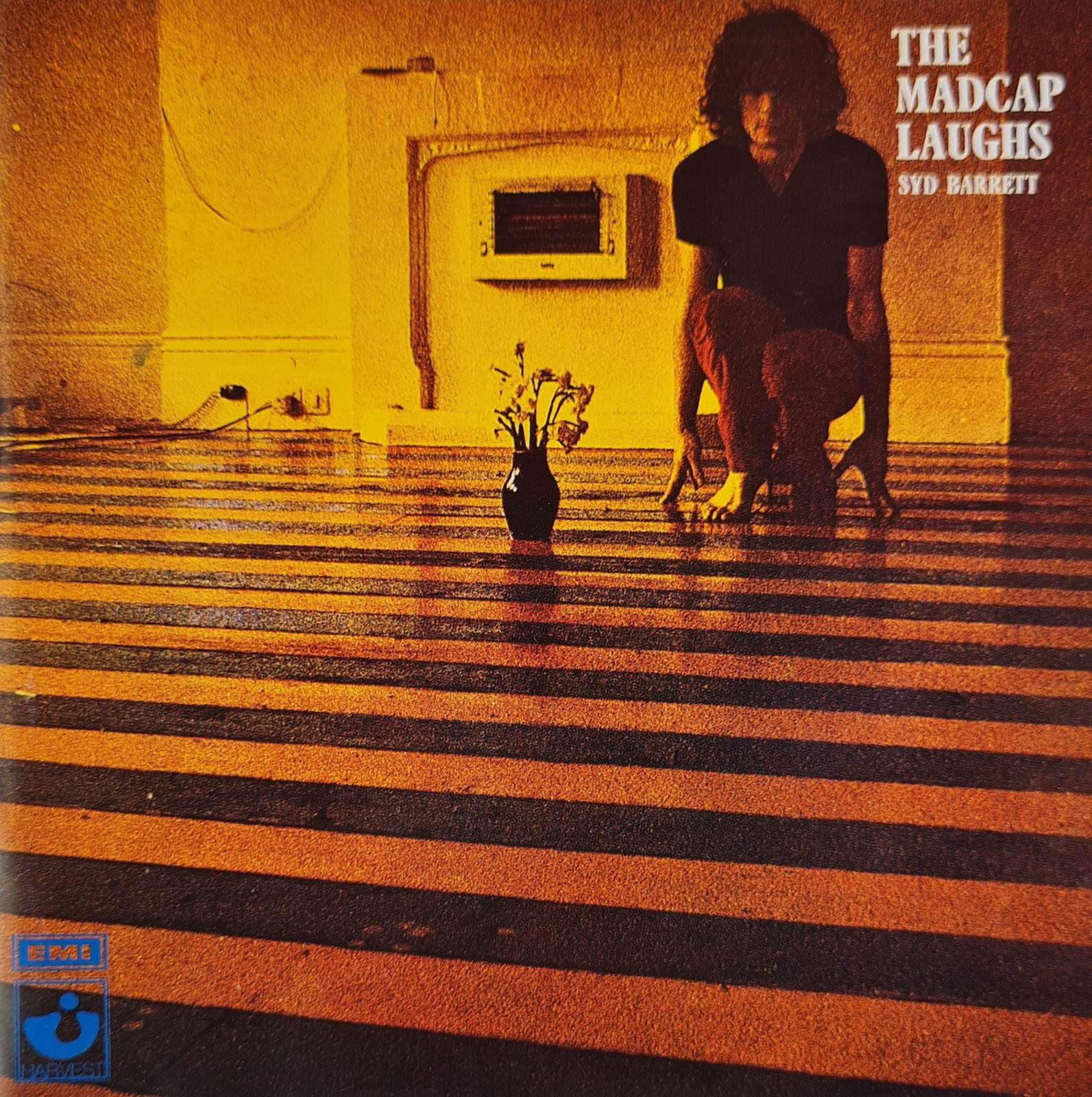 Syd Barrett - The Madcap Laughs CD