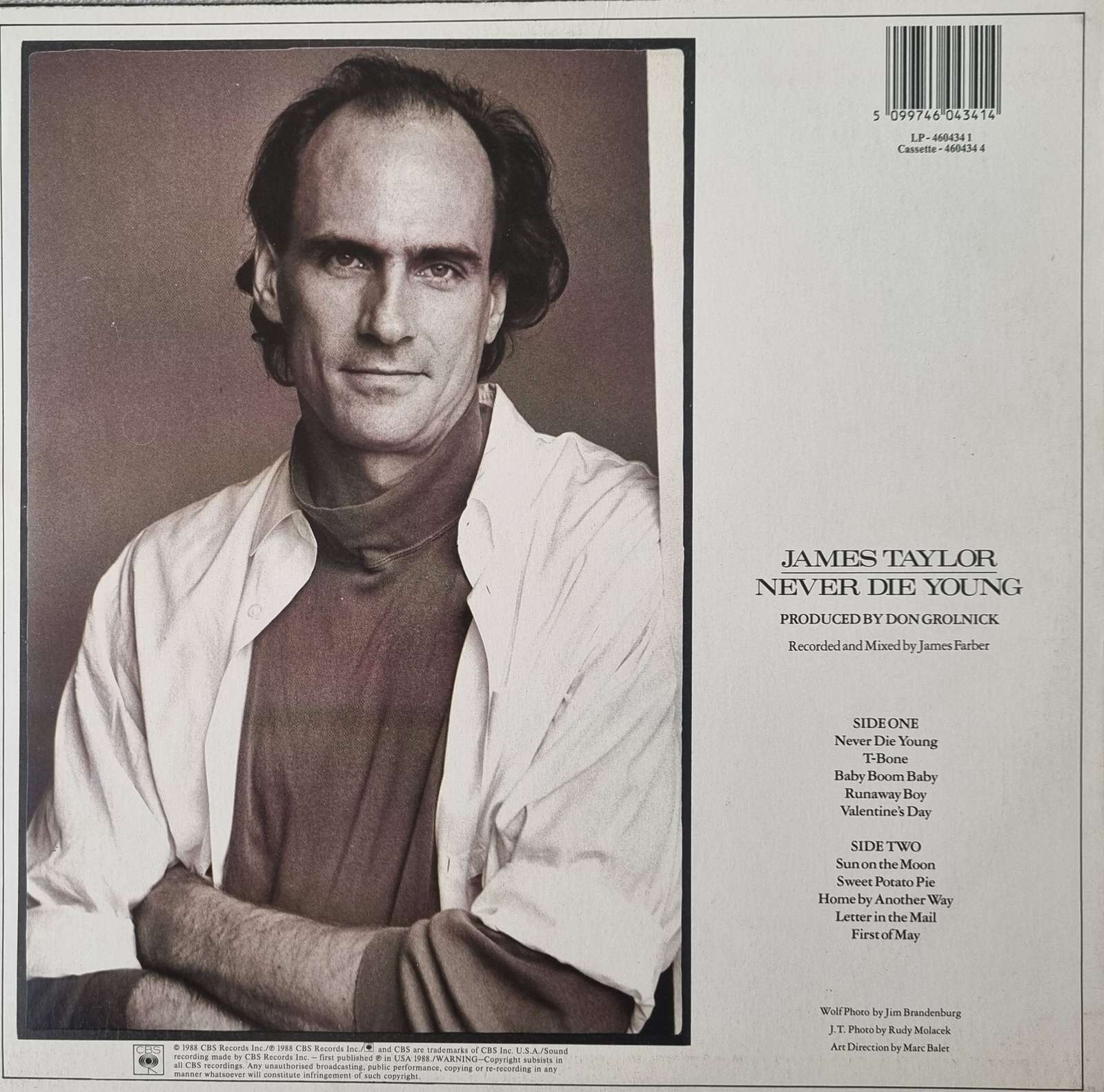 James Taylor - Never Die Young (LP)