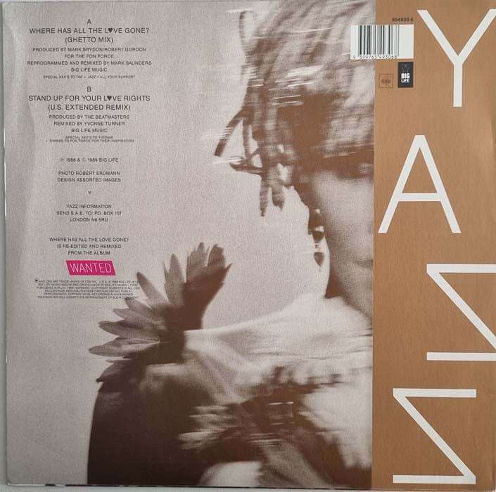 Yazz - Where Has All the Love Gone? 12 inch single