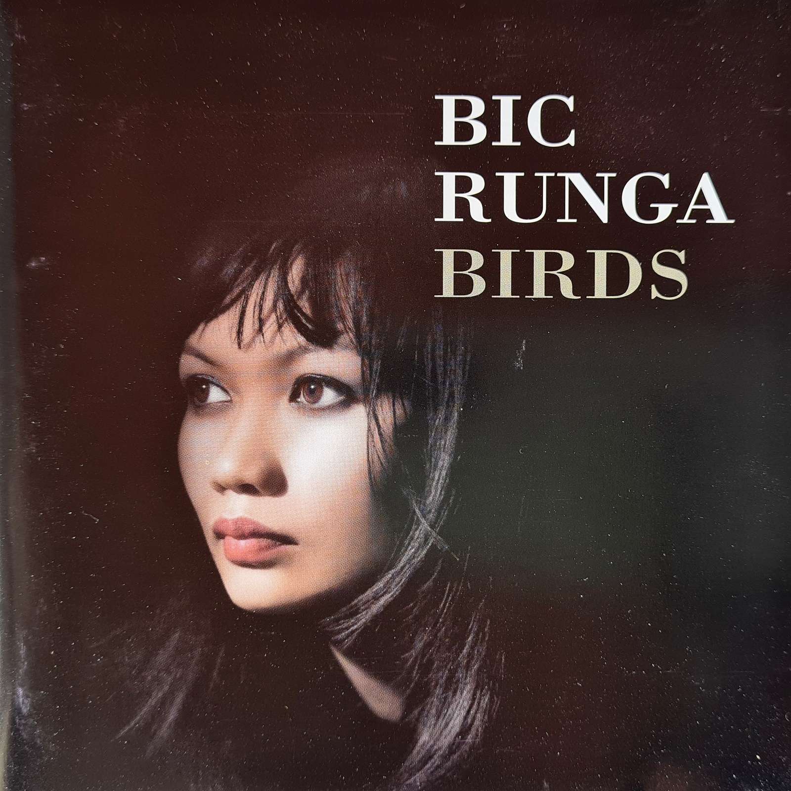 Bic Runga - Birds CD