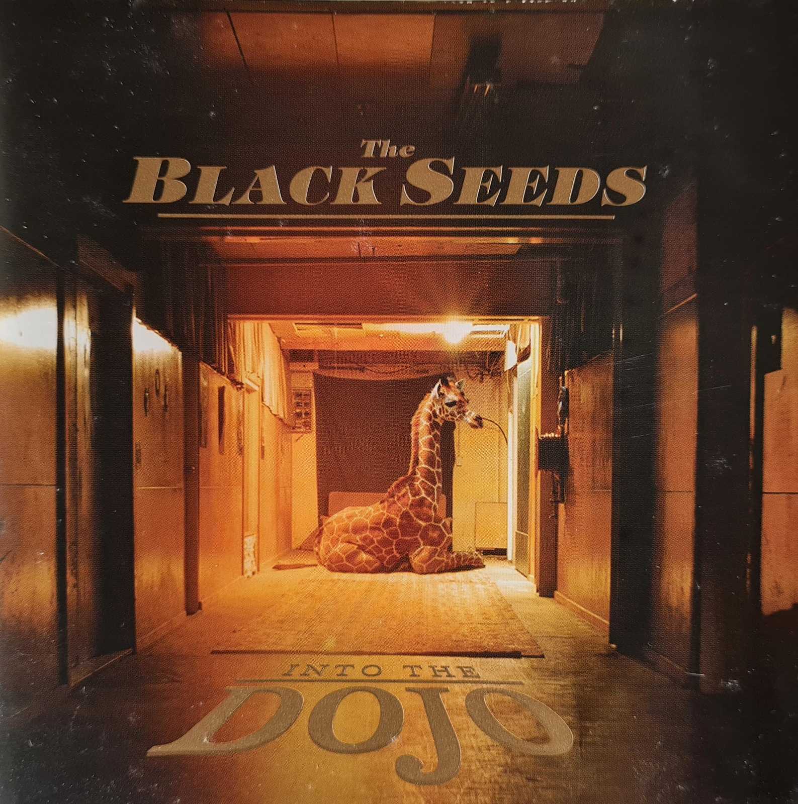 The Black Seeds - Into the Dojo (CD)