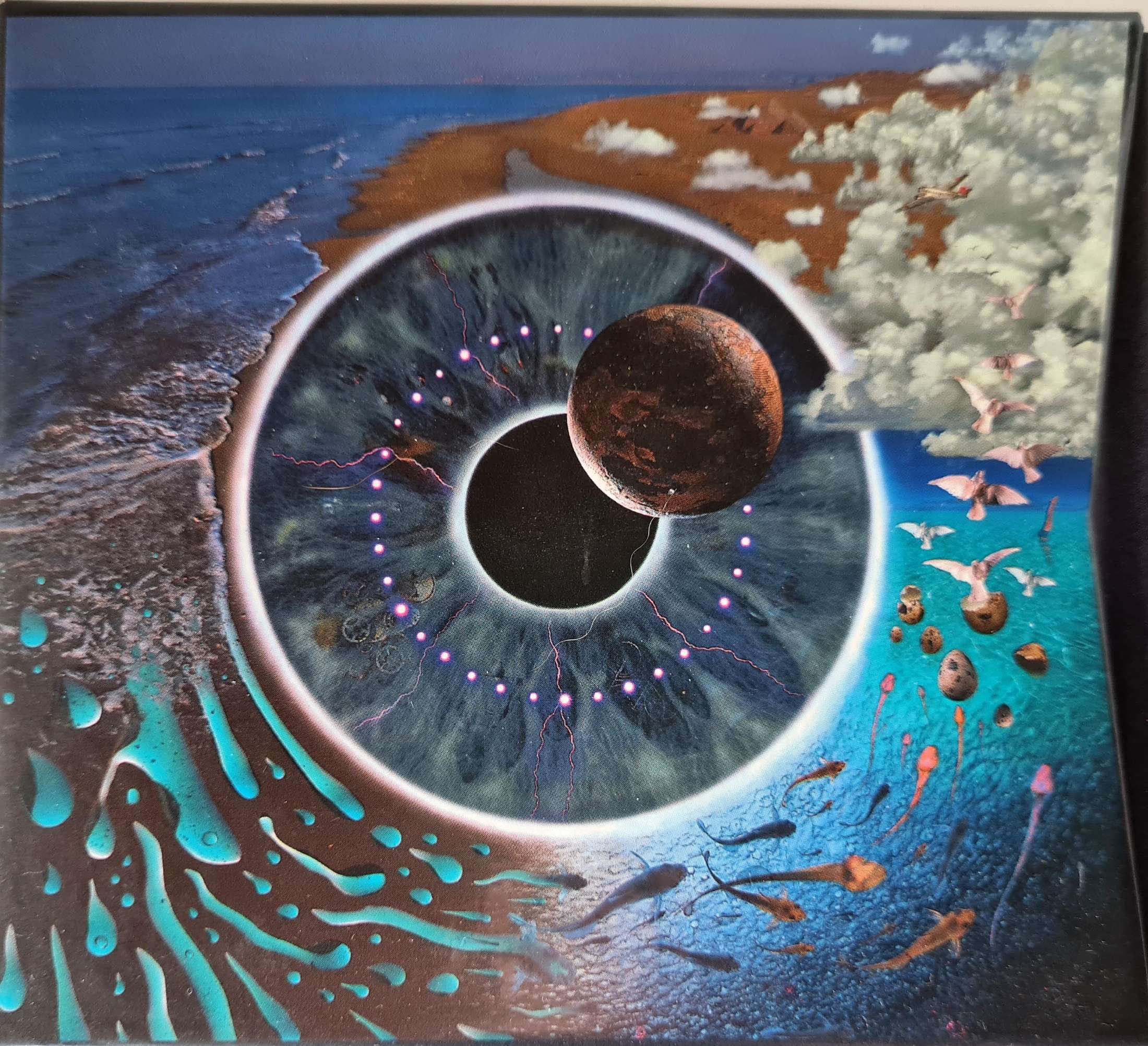 Pink Floyd - Pulse (CD)