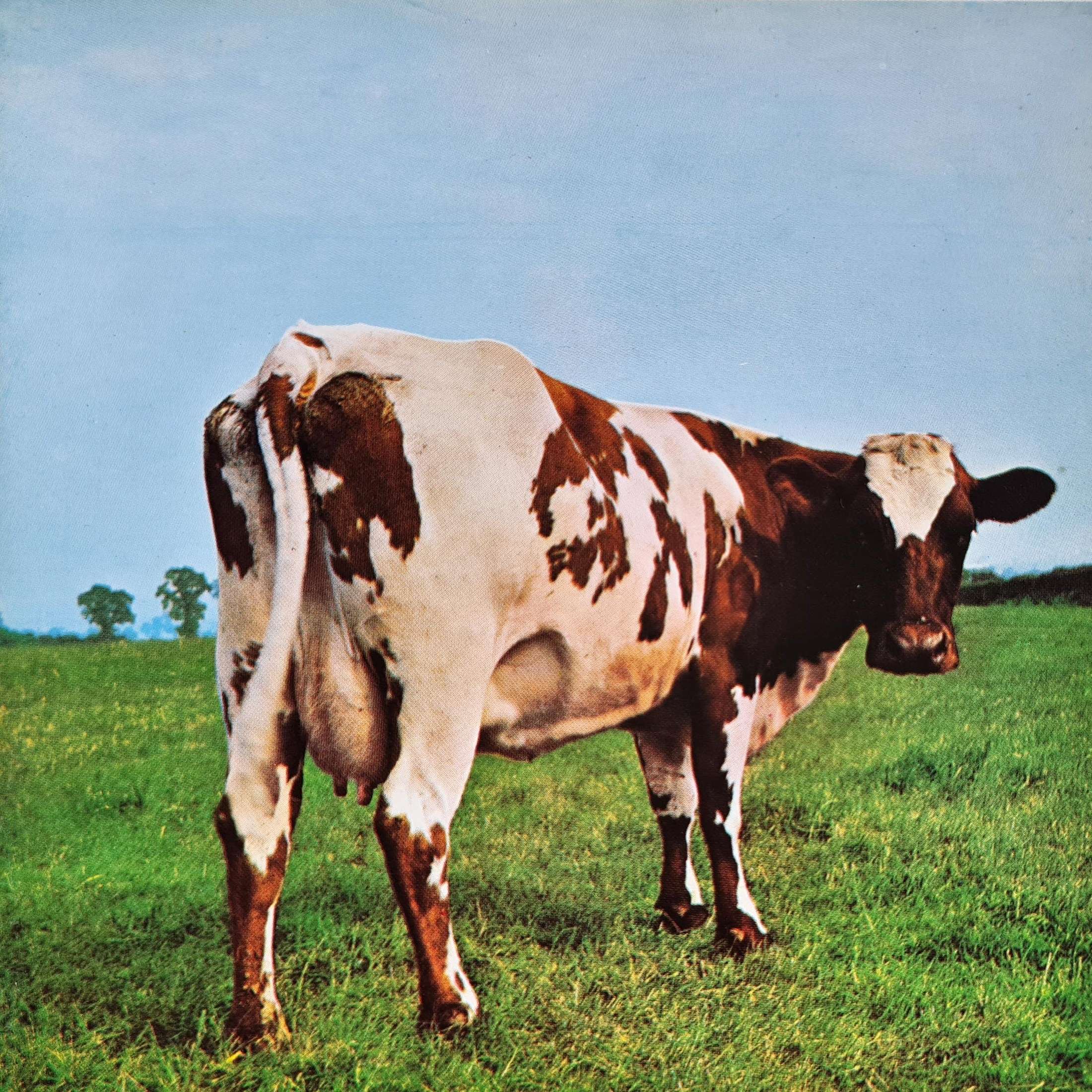 Pink Floyd - Atom Heart Mother (CD)