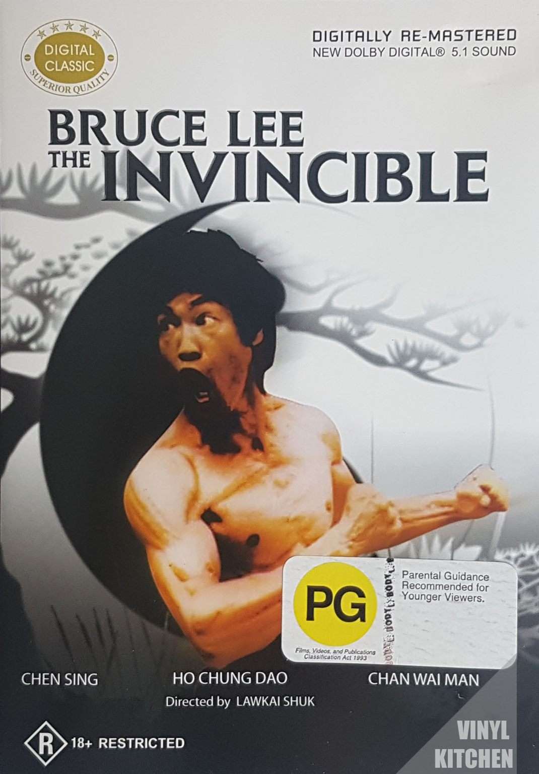 Bruce Lee the Invincible