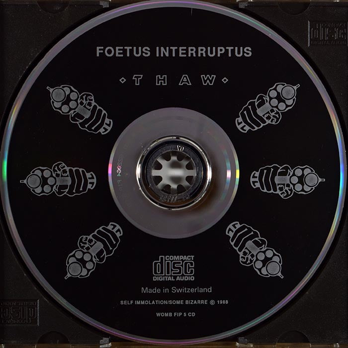 Foetus Interruptus - Thaw (CD)