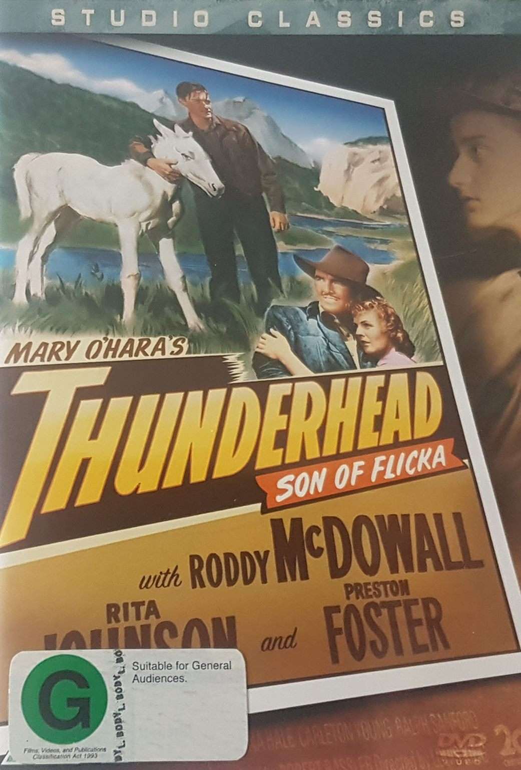 Thunderhead Son of Flicka