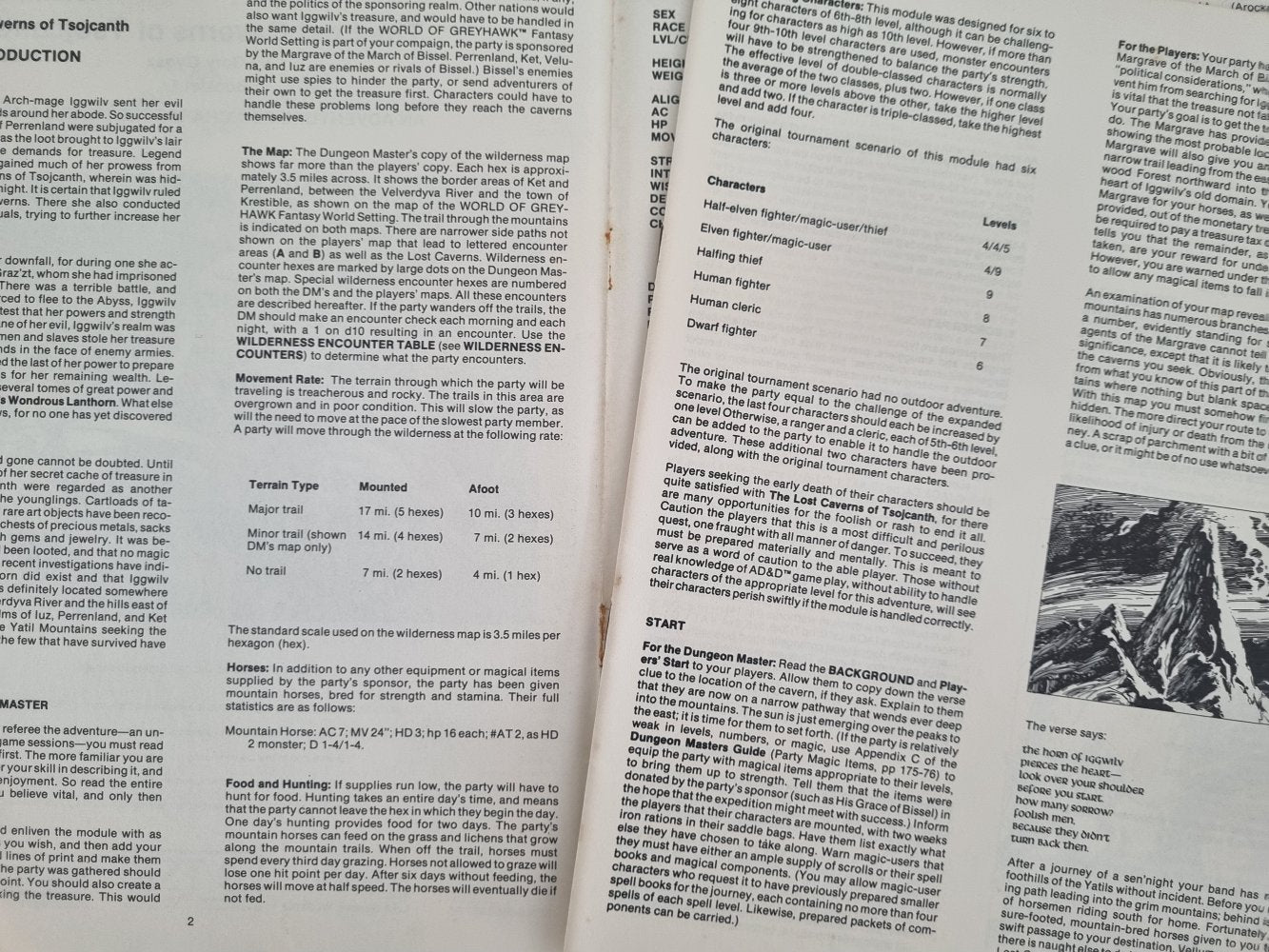 AD&D Module - The Lost Caverns of Tsojcanth (S4) - Vinyl Kitchen