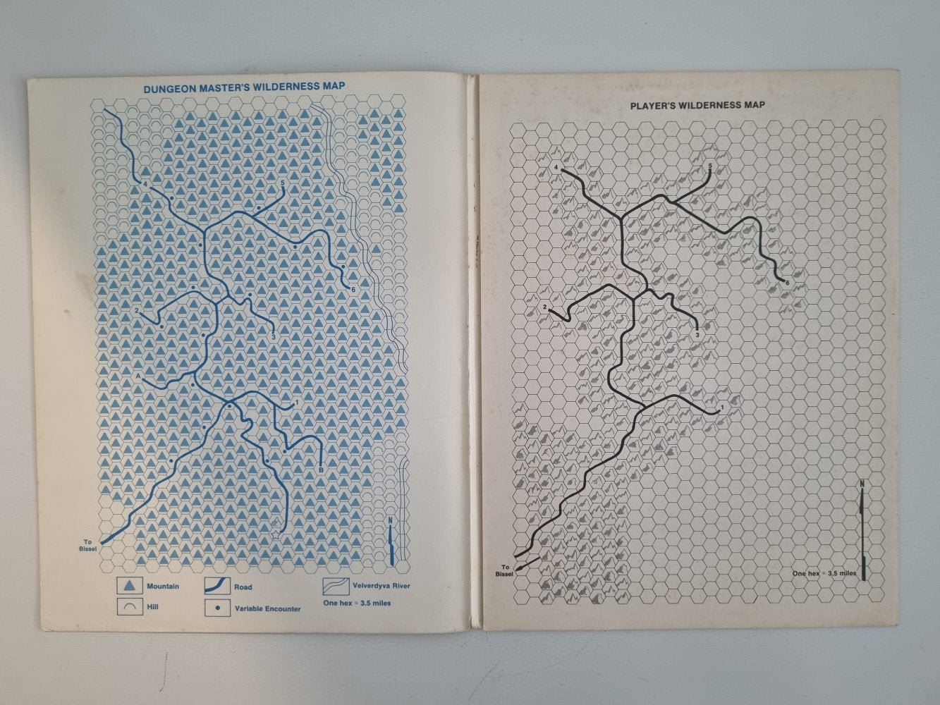 AD&D Module - The Lost Caverns of Tsojcanth (S4) - Vinyl Kitchen