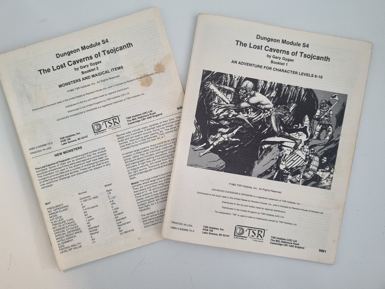 AD&D Module - The Lost Caverns of Tsojcanth (S4) - Vinyl Kitchen
