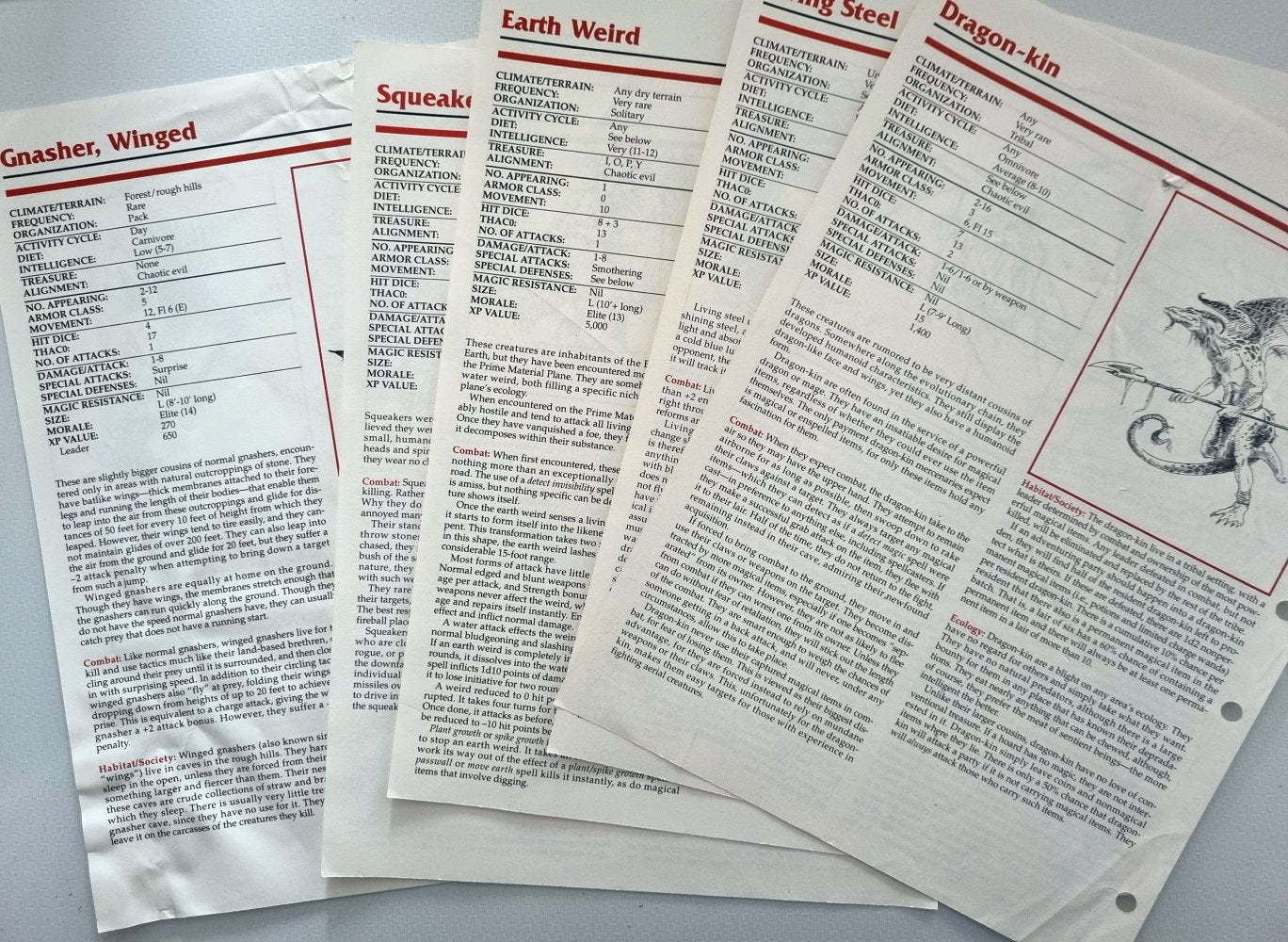 Advanced Dungeons and Dragons: Dragon Mountain - Vinyl Kitchen