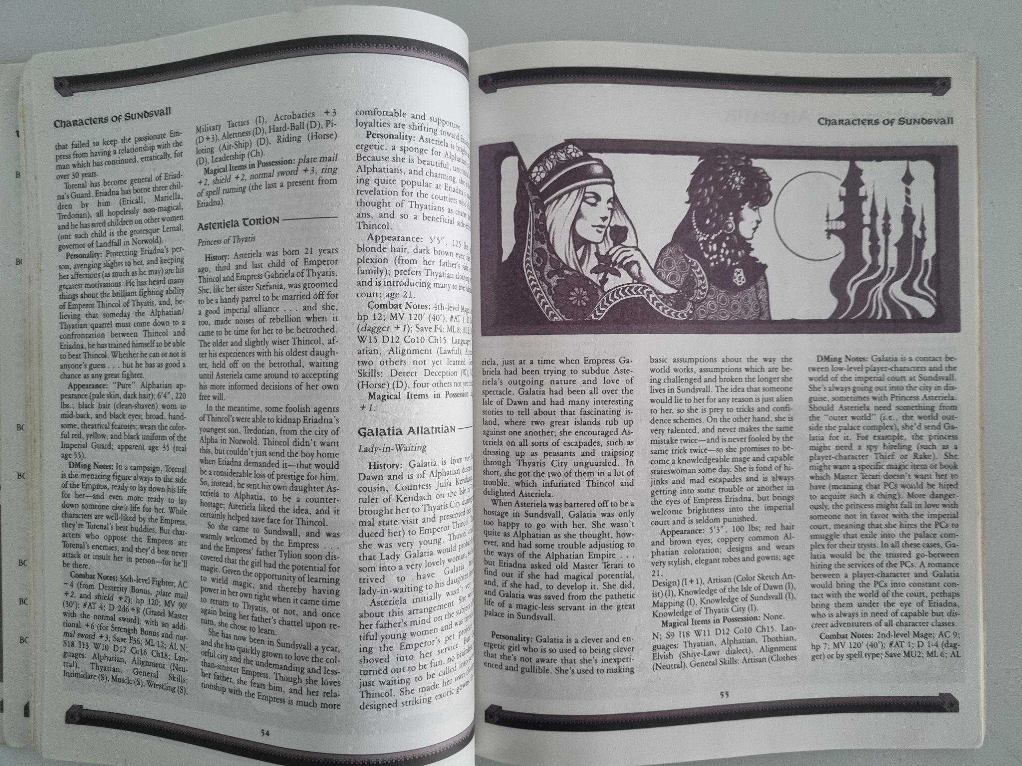 D&D: Gazetteer - Book One The Dungeon Master's Sourcebook - Vinyl Kitchen