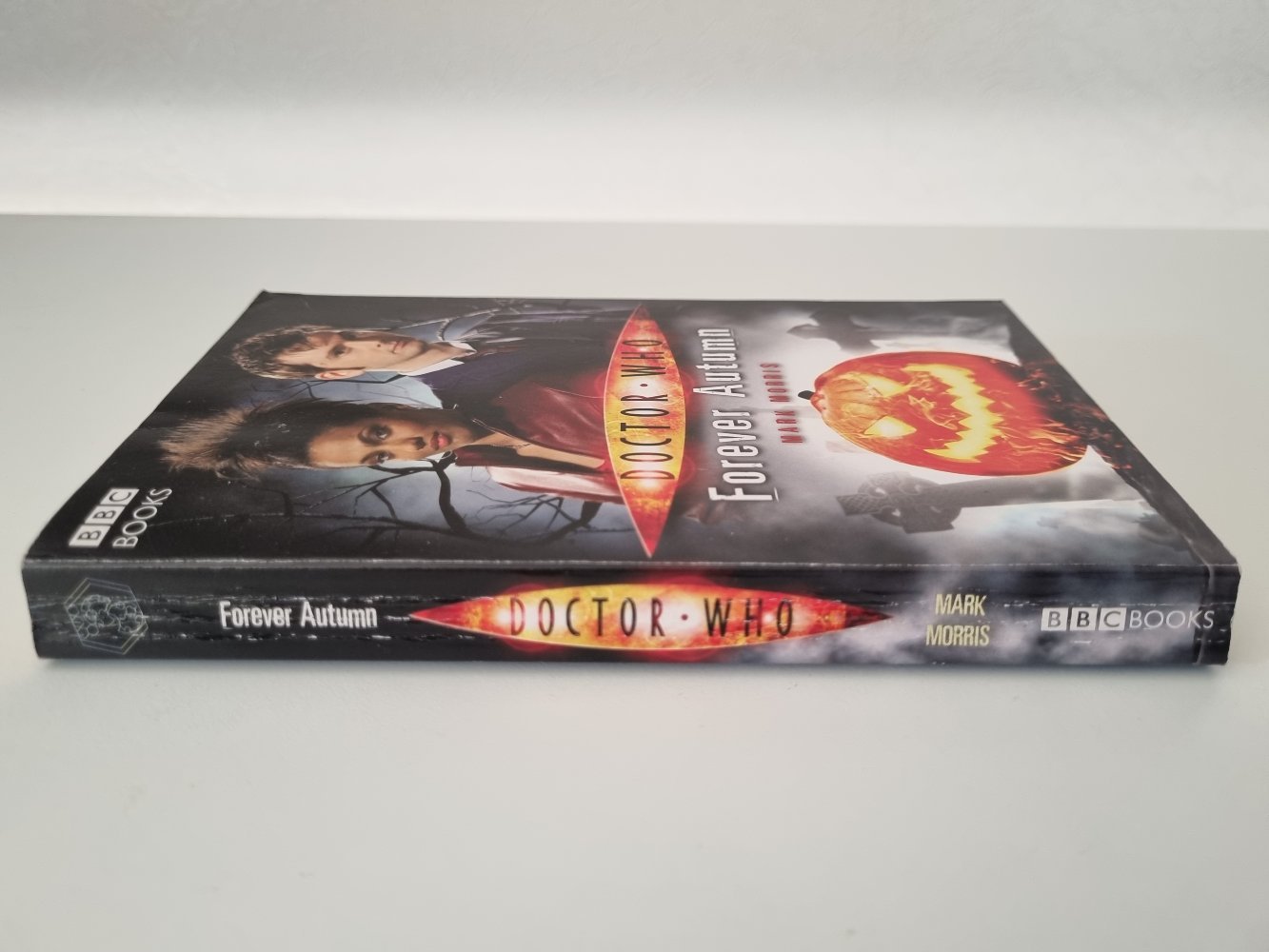 Doctor Who - Forever Autumn - Vinyl Kitchen