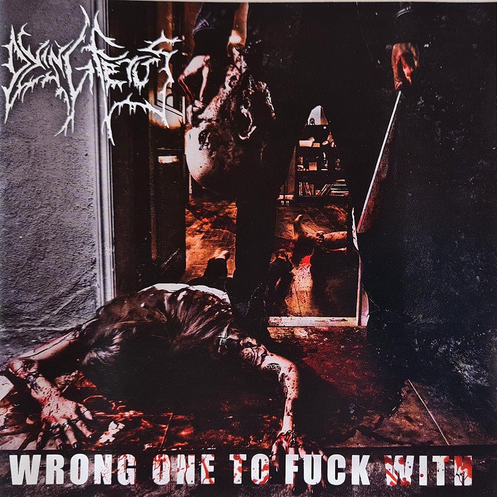 Dying Fetus - Wrong One To F$@k With (CD) - Vinyl Kitchen
