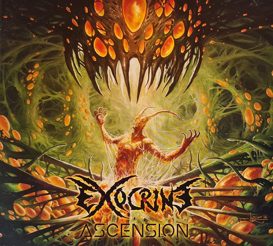 Exocrine - Ascension (CD) - Vinyl Kitchen