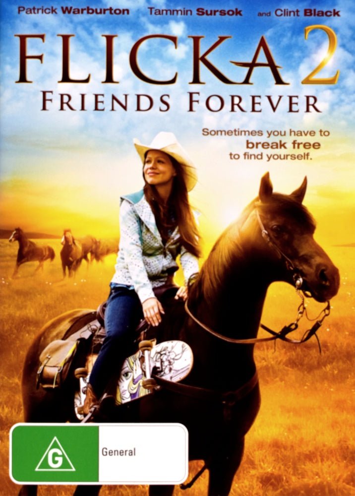 Flicka 2 - 2010 (DVD) - Vinyl Kitchen