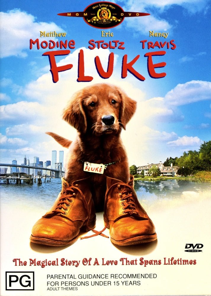Fluke - 1995 (DVD) - Vinyl Kitchen