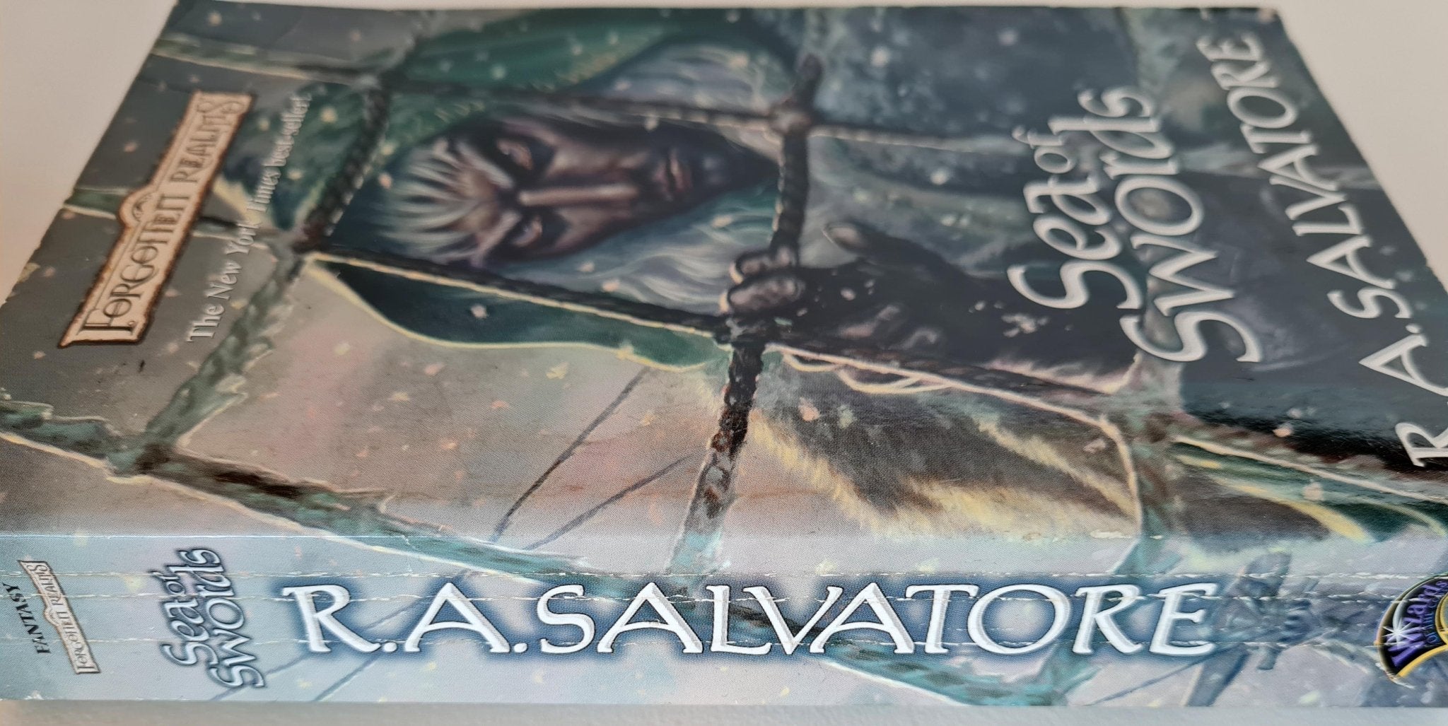 Forgotten Realms: Sea of Swords - R. A. Salvatore - Vinyl Kitchen