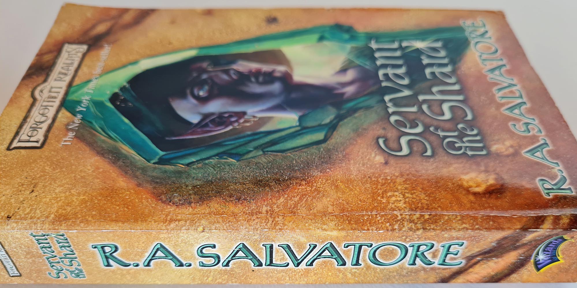 Forgotten Realms: Servant of the Shard - R. A. Salvatore - Vinyl Kitchen