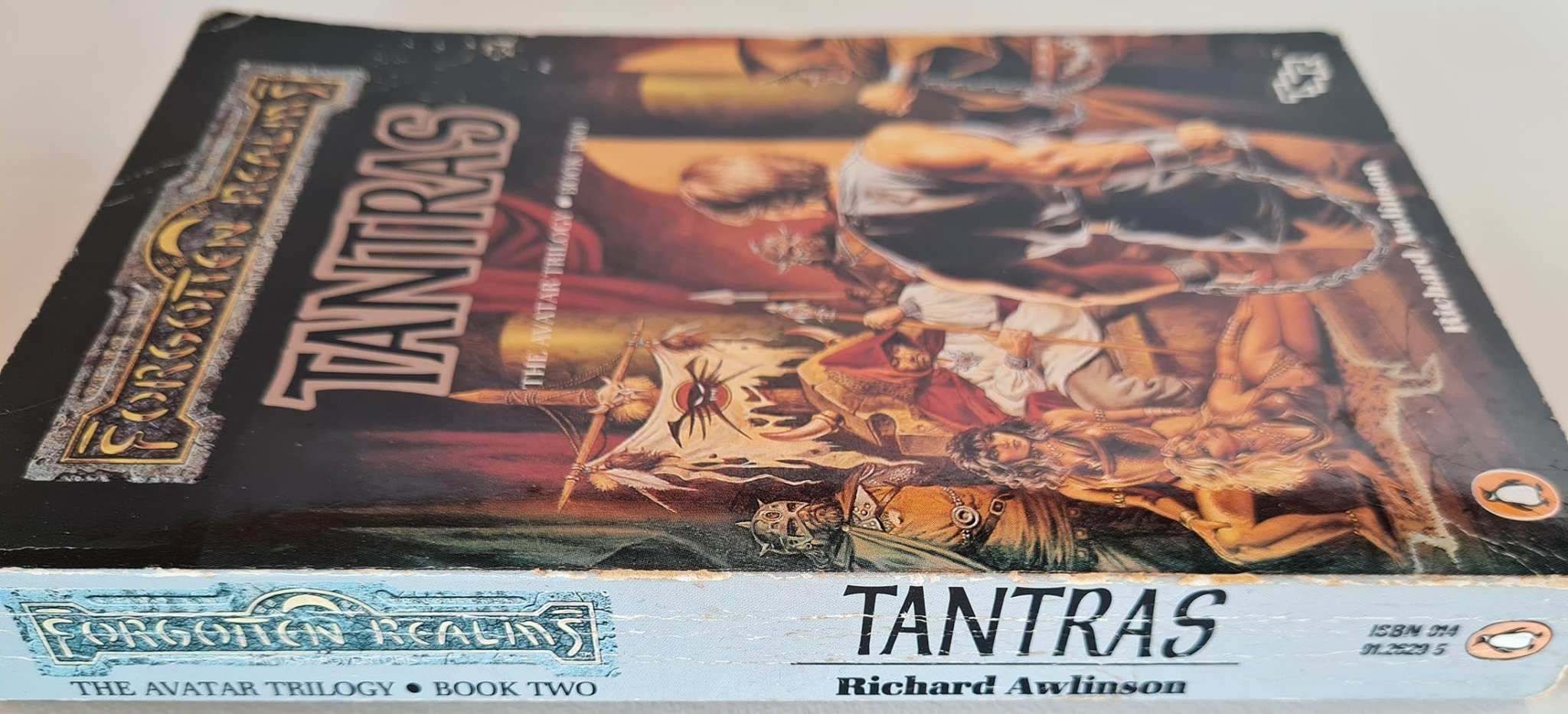 Forgotten Realms: Tantras - Avatar Trilogy - Book 2 - Richard Awlinson - Vinyl Kitchen