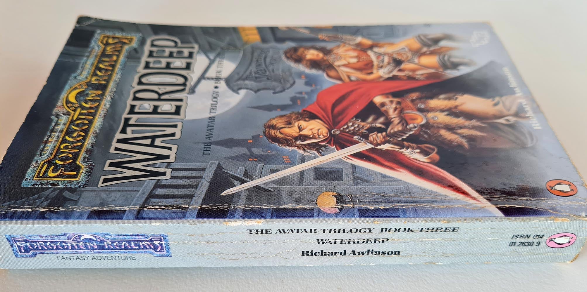 Forgotten Realms: Waterdeep - Avatar Trilogy - Book 3 - R. Awlinson - Vinyl Kitchen