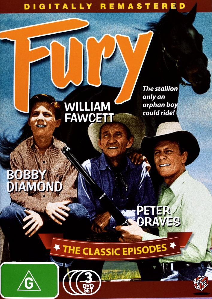 Fury (DVD)