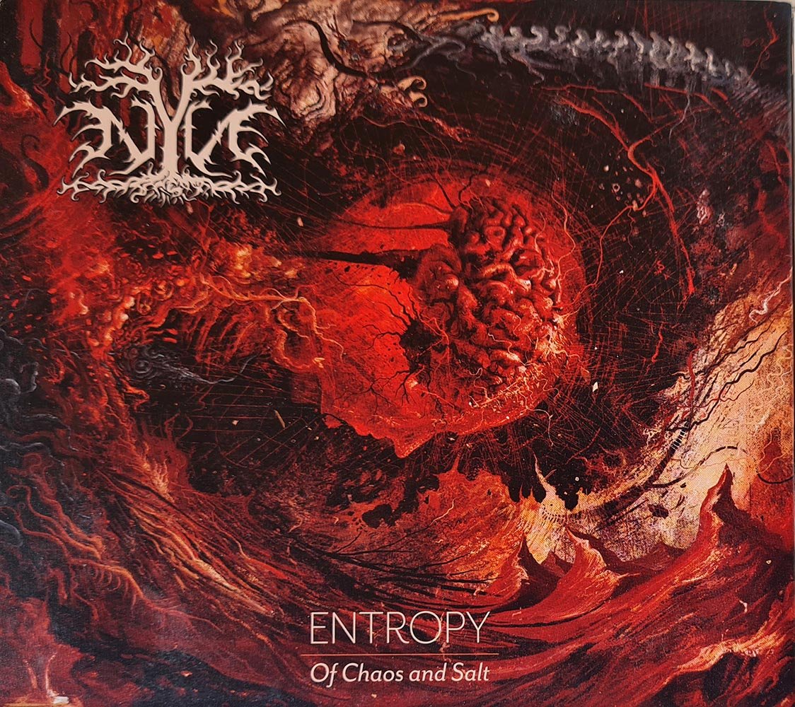 NYN - Entropy - Of Chaos and Salt (CD) - Vinyl Kitchen