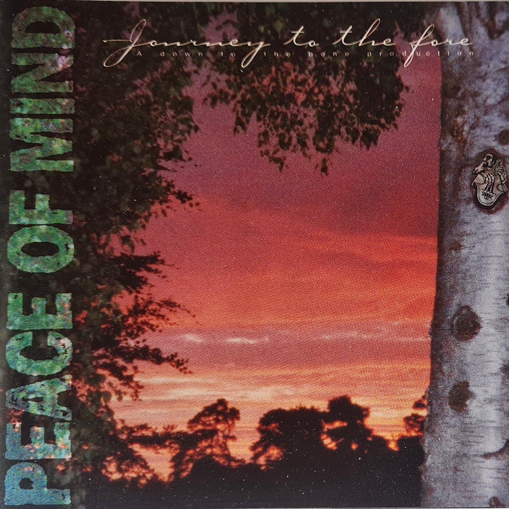 Peace of Mind - Journey to the Fore (CD) - Vinyl Kitchen