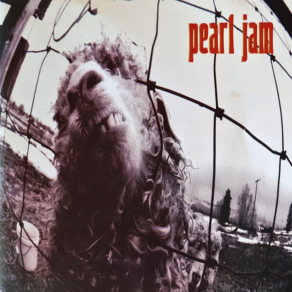 Pearl Jam - Vs. (CD) - Vinyl Kitchen