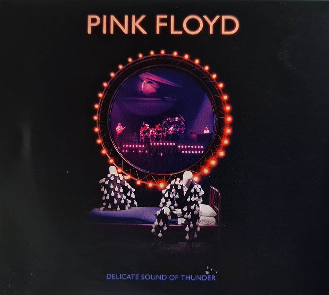 Pink Floyd - Delicate Sound Of Thunder (2 CD) - Vinyl Kitchen