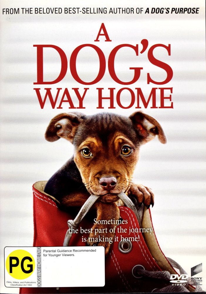 Product image for processed_DSC_2040.jpg