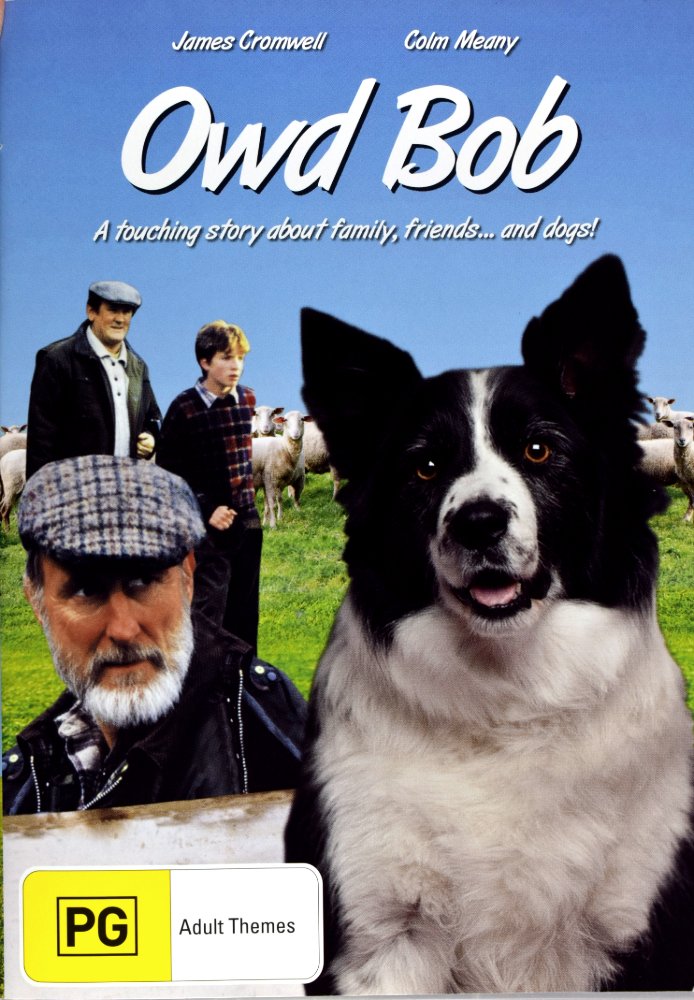 Product image for processed_DSC_2918.jpg