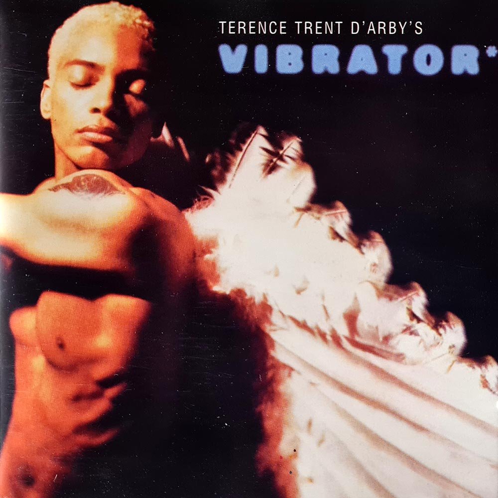 Terence Trent D'Arby's - Vibrator (CD) - Vinyl Kitchen
