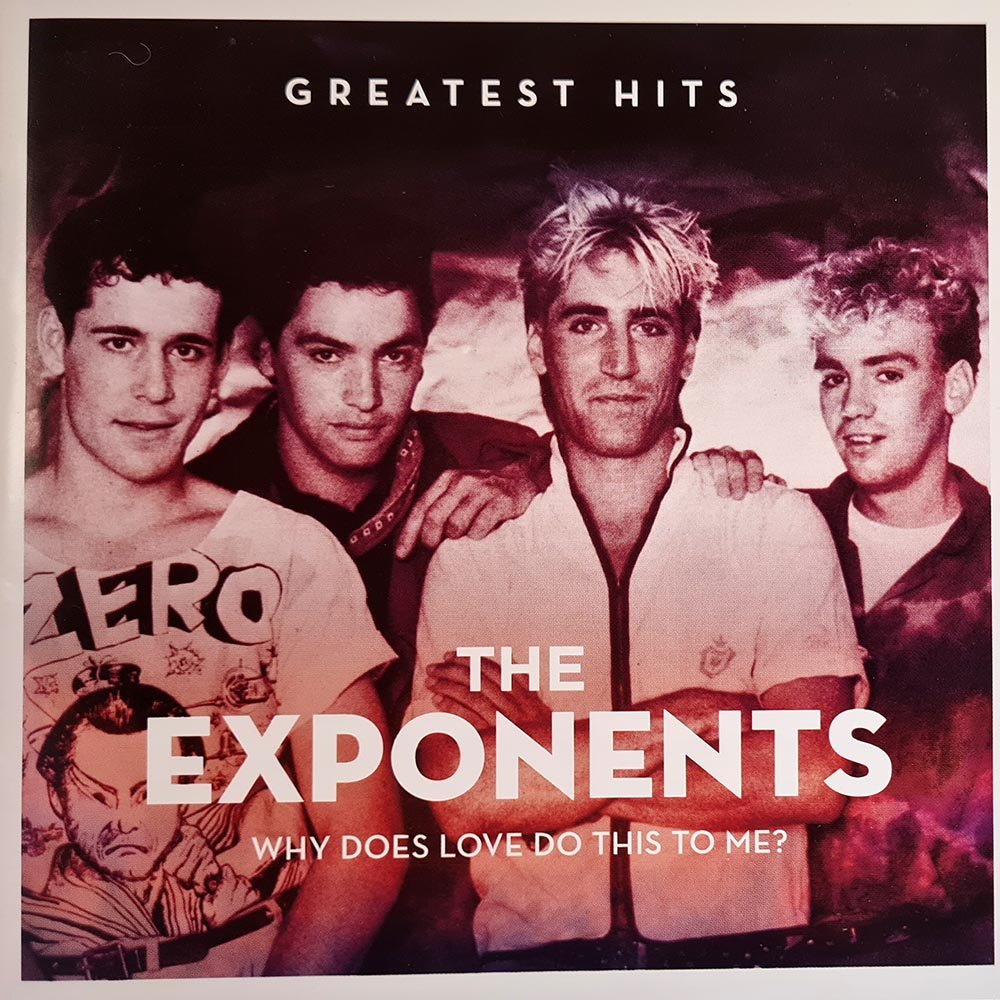 The Exponents - Why Does Love Do this to Me? (CD) - Vinyl Kitchen