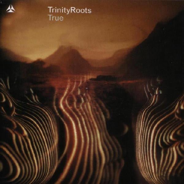 Trinity Roots - True (CD) - Vinyl Kitchen