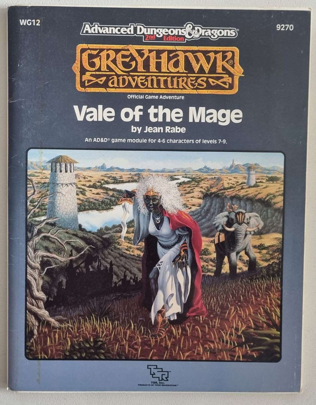 AD&D - Greyhawk Adventures Module - Vale of the Mage (WG12 9270) Default Title