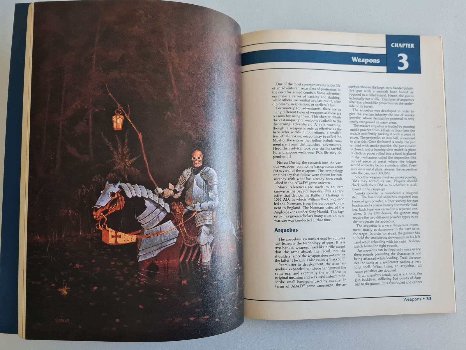 Advanced Dungeons and Dragons Arms and Equipment Guide (2123)