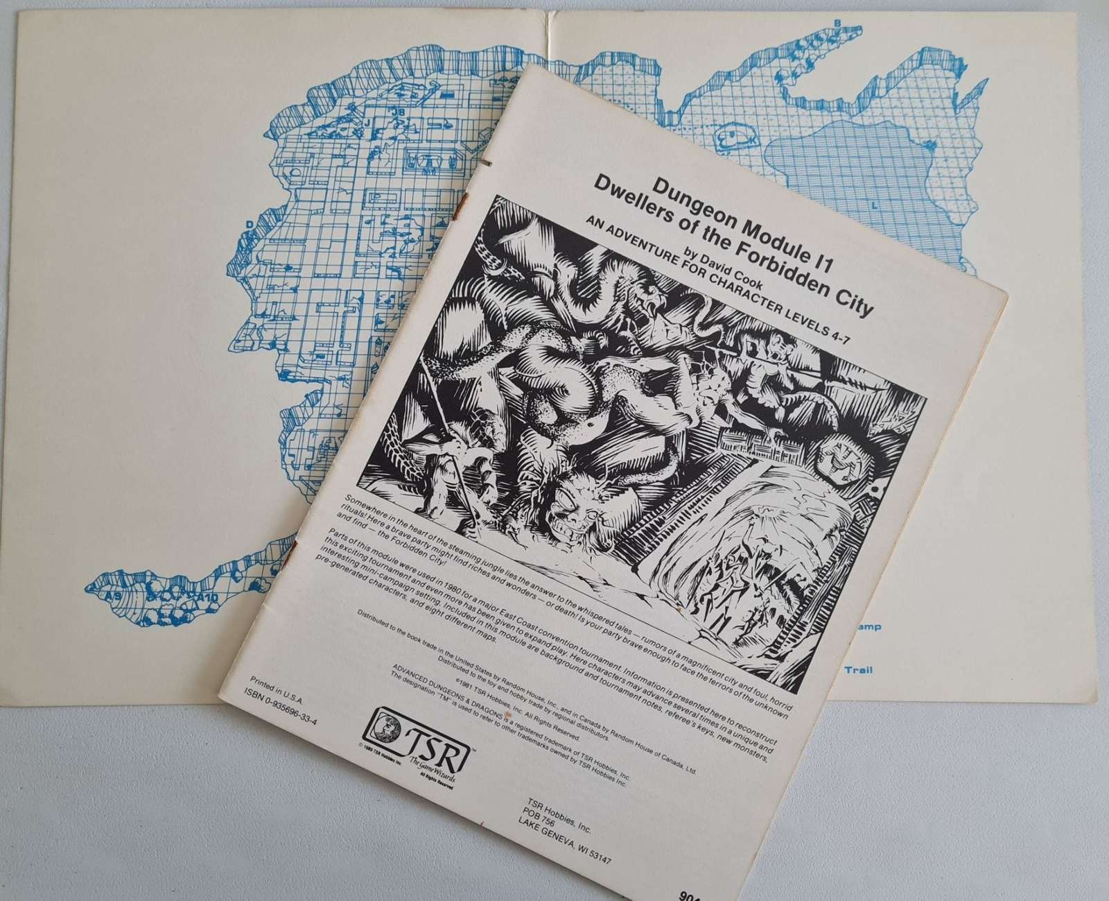Advanced Dungeons and Dragons Module - Dwellers of the Forbidden City (I1) Default Title