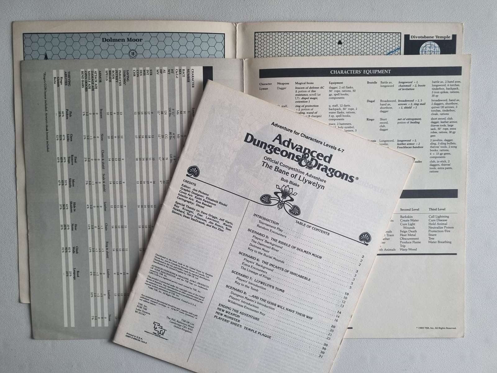 Advanced Dungeons and Dragons Module - The Bane of Llwelyn (C5 9109) Default Title