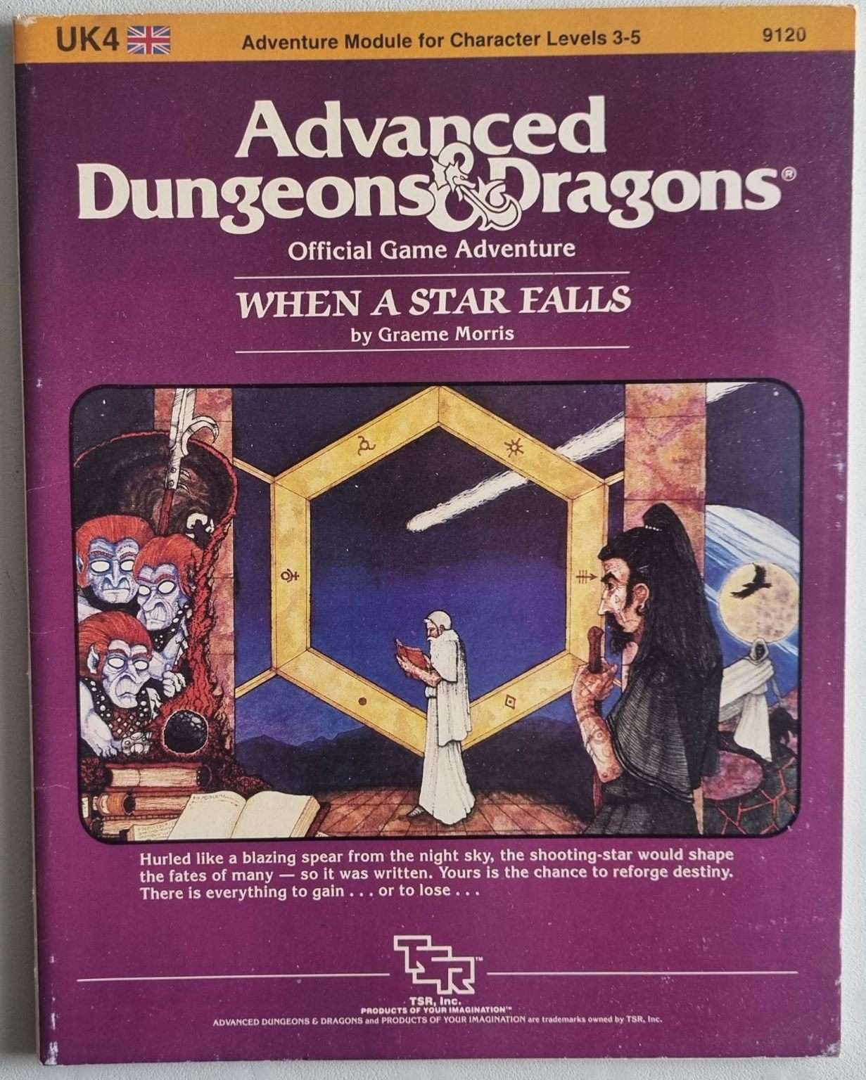 Advanced Dungeons and Dragons - When a Star Falls UK4 9120