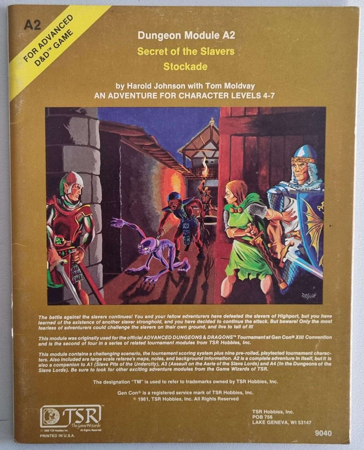 Advanced Dungeons & Dragons - Secret of the Slavers Stockade (A2) Default Title
