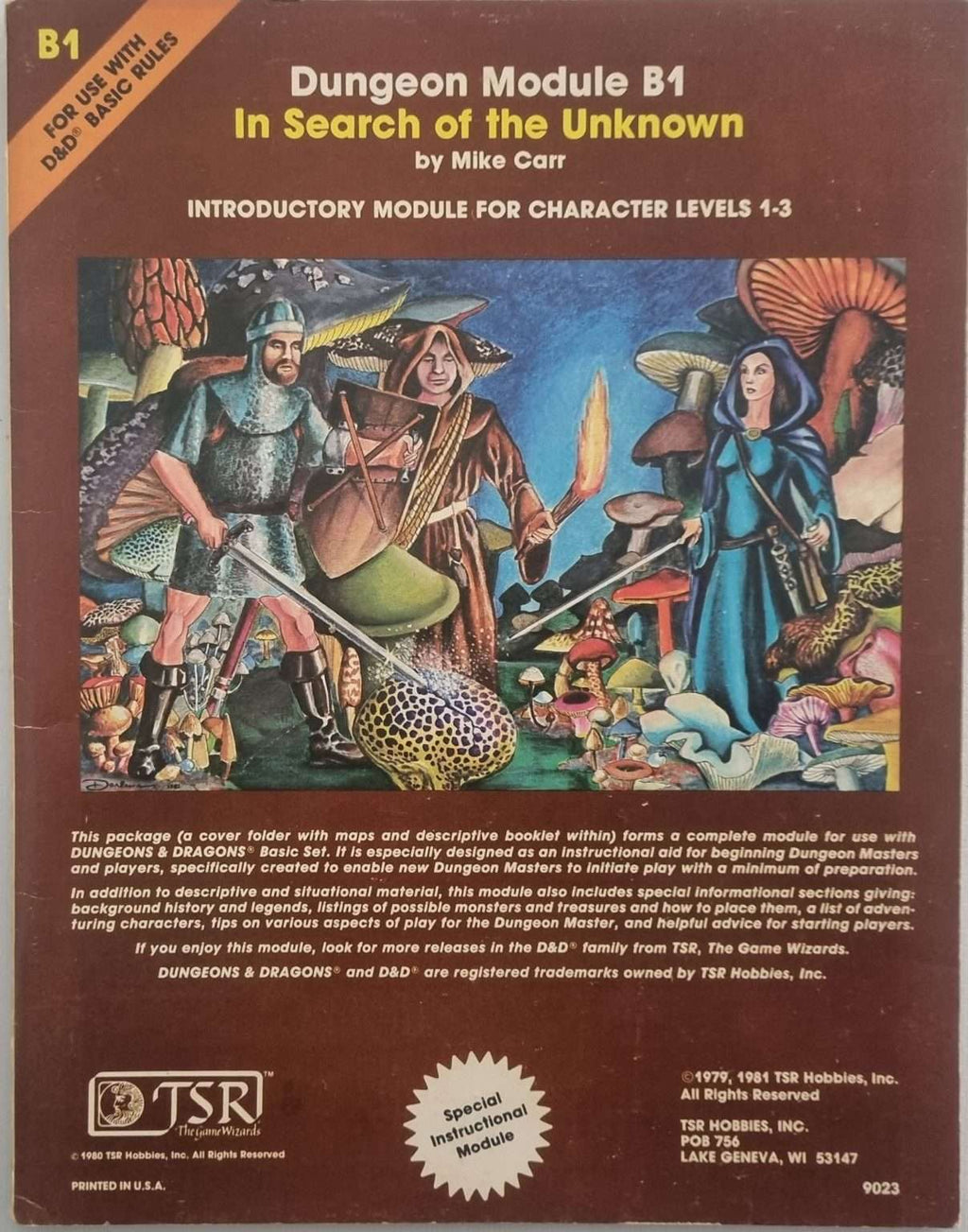 Dungeons and Dragons Module - In Search of the Unknown (B1)